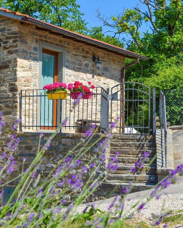 Agriturismo Vezzano Chiusi della Verna Exteriör bild