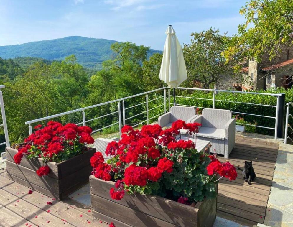 Agriturismo Vezzano Chiusi della Verna Exteriör bild