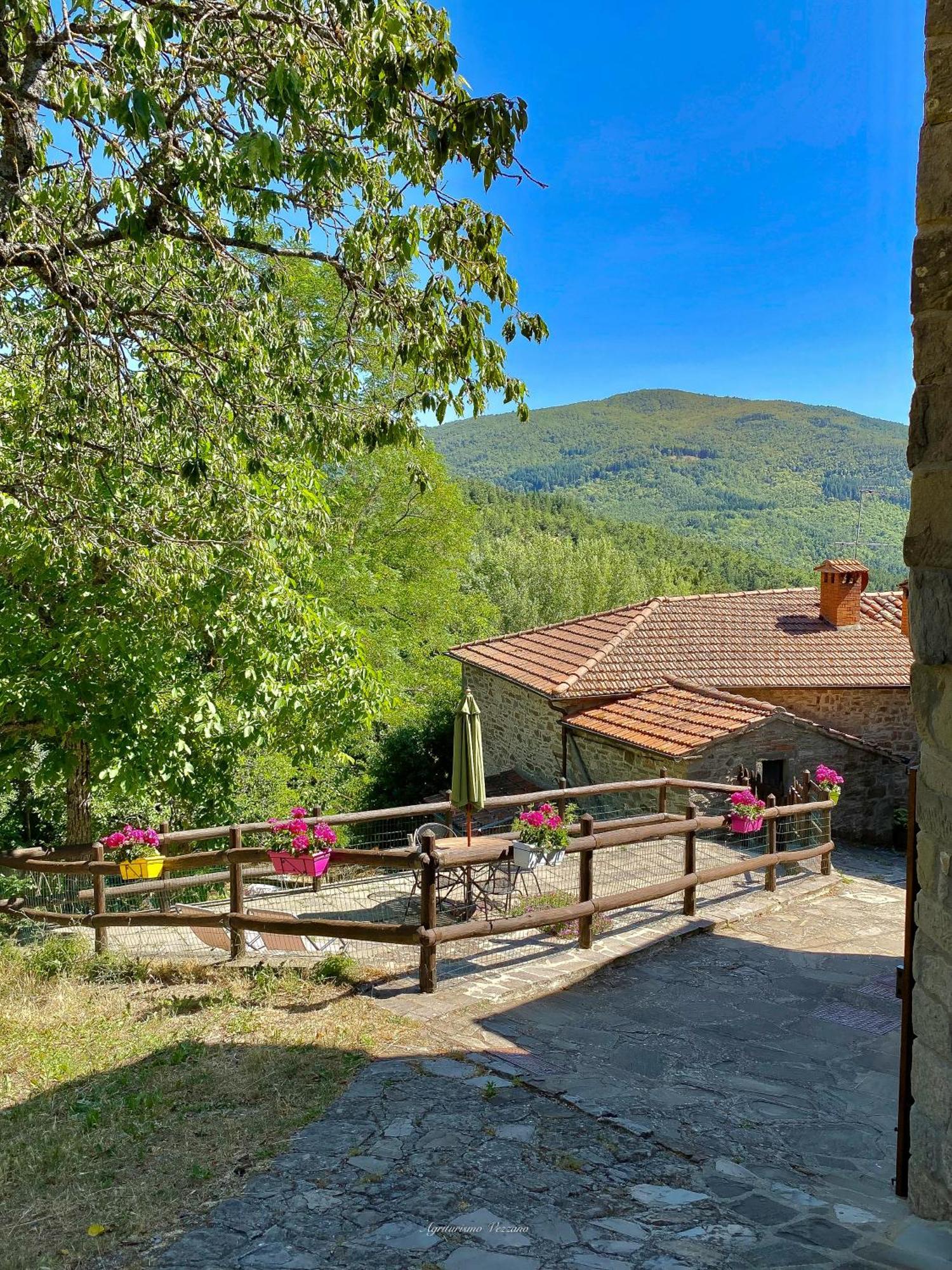 Agriturismo Vezzano Chiusi della Verna Rum bild