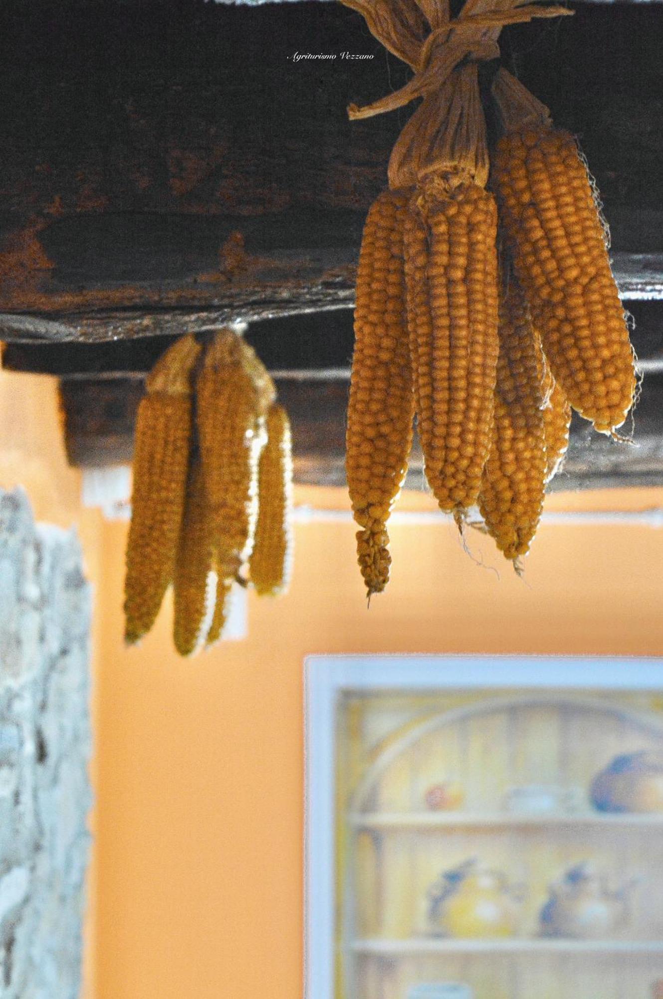 Agriturismo Vezzano Chiusi della Verna Rum bild